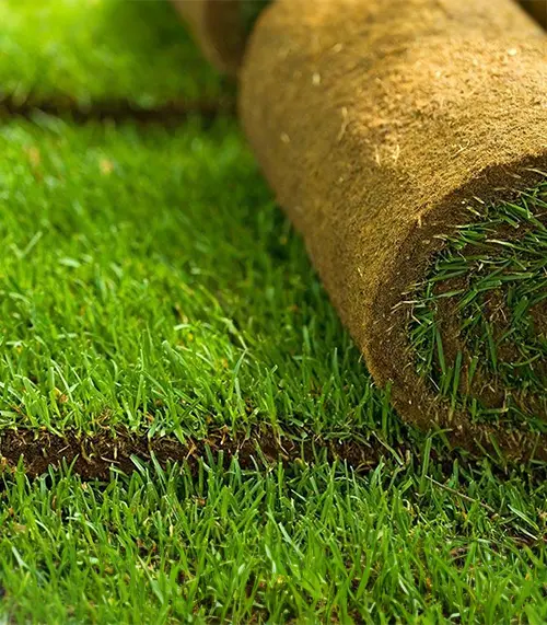 sod installers turf installation