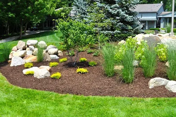 Dark brown organic mulch installed in garden beds Mr. Mulch