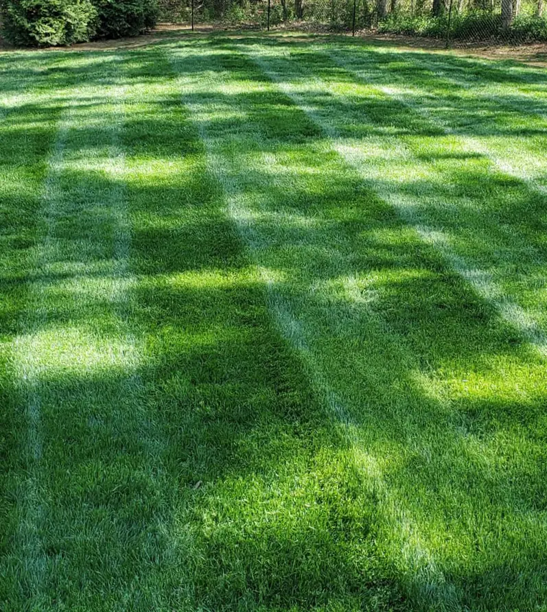 Lush green lawn after professional sodding and grading