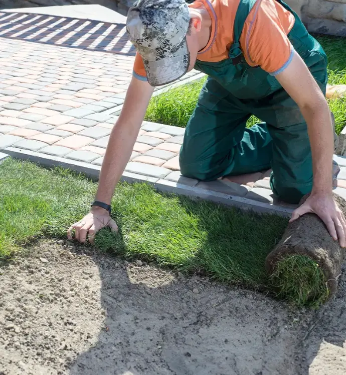 Professional sod installation in Columbus Ohio