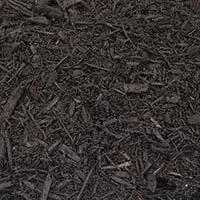Black mulch columbus ohio
