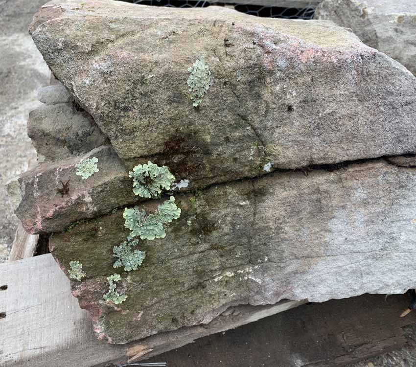 Moss Boulders landscaping