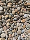 Small Buff Mexican Beach Pebbles