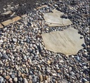 Mohican River Rock decorative stone