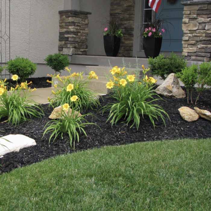 dyed black mulch near columbus ohio
