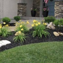 dyed black mulch near columbus ohio