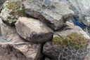 Moss Boulders