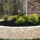 Triple Black Mulch front yard landscaping