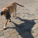 Cheap Patio Paver