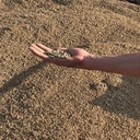 Brassfield Pathway Limestone