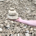 River Cobble