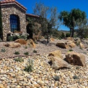 Medium Ivory Mexican Beach Pebble