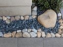Black Mexican Beach Pebble Buttons - 3/4"