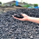 Black Lava Mr Mulch