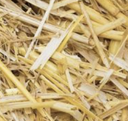 Wheat Straw