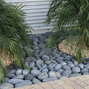 Medium Black Mexican Beach Pebbles