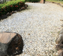 Pea Pebble