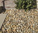 Small Buff Mexican Beach Pebbles