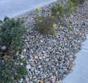 Alabama River Rock - landscaping rocks