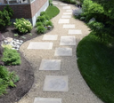 Brassfield Pathway Limestone