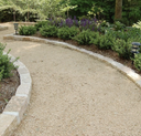Brassfield Pathway Limestone