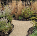 Brassfield Pathway Limestone