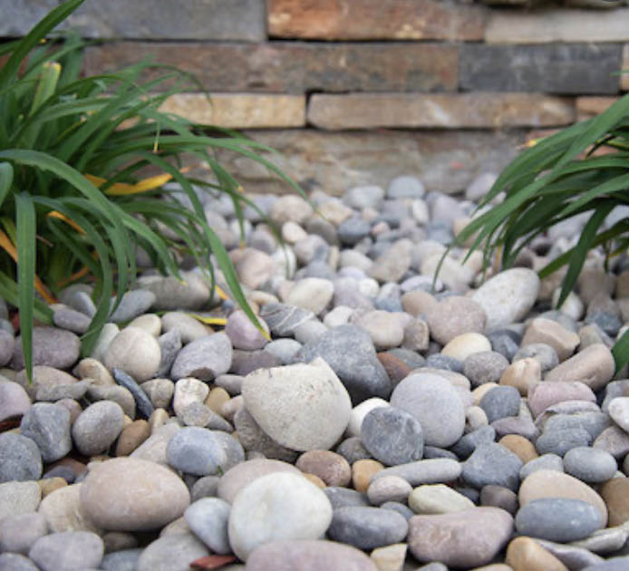 Medium River Rock Natural Stone