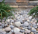 Medium River Rock Natural Stone