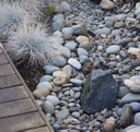 Medium size River Rock