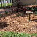 Cypress Mulch bagged mulch
