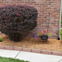 Cypress Mulch landscaping