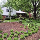 brown mulch landscaping