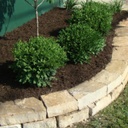 brown mulch - mulch bed