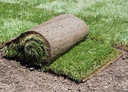 Roll of Kentucky Bluegrass Sod