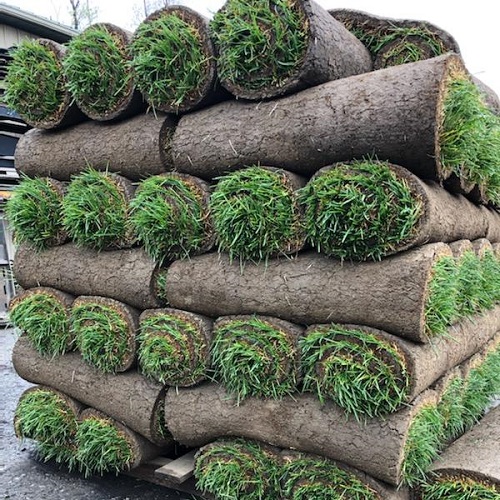 Stack of Grass Sod
