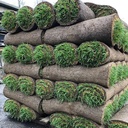 Stack of Grass Sod