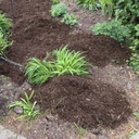 Fine brown mulch bulk