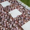 Small Red Mexican Beach Pebbles