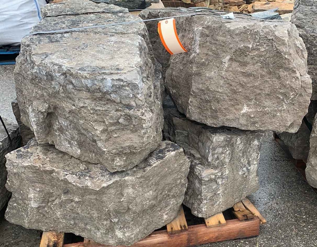 Bluffton Outcropping