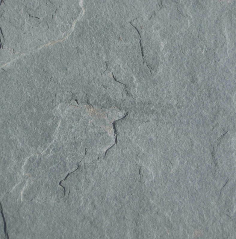 Pennsylvania Natural Cleft Dimensional Flagstone (12" x 12")