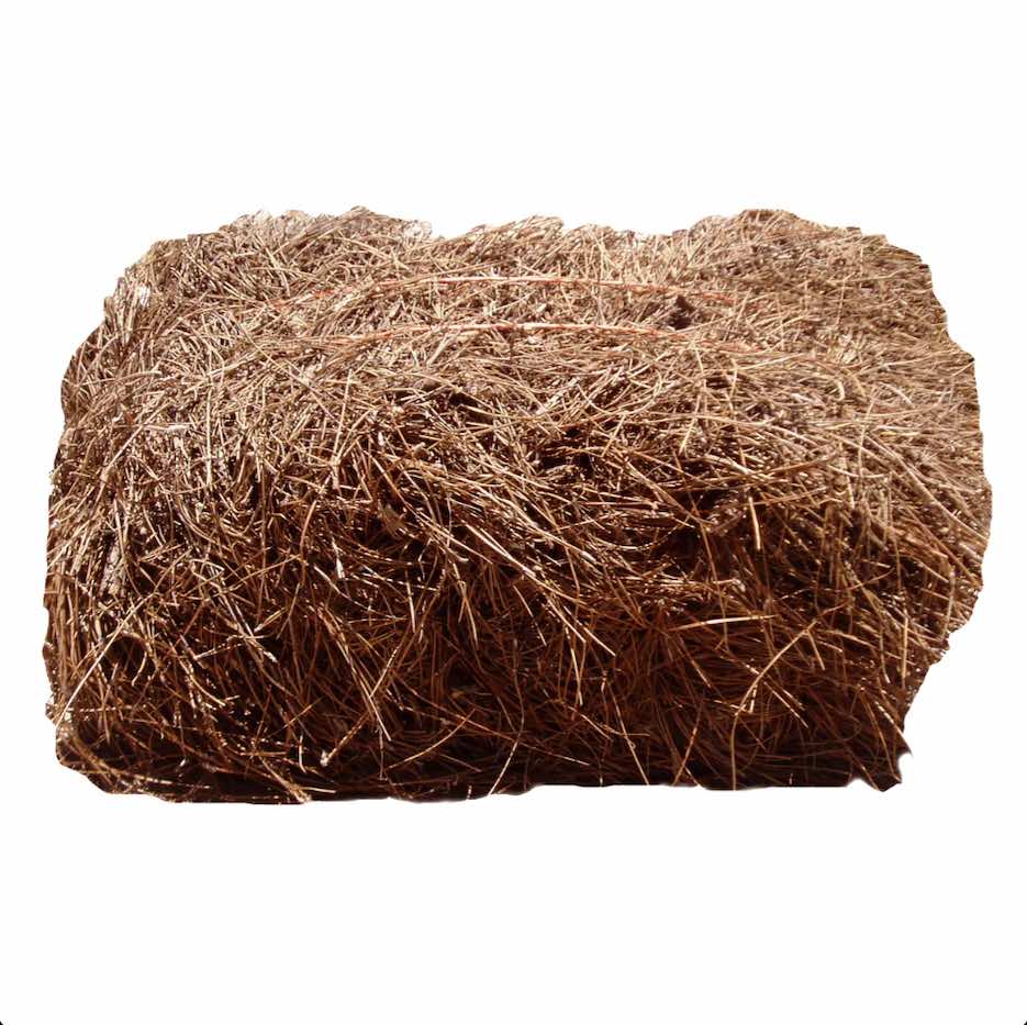 Pine Needles