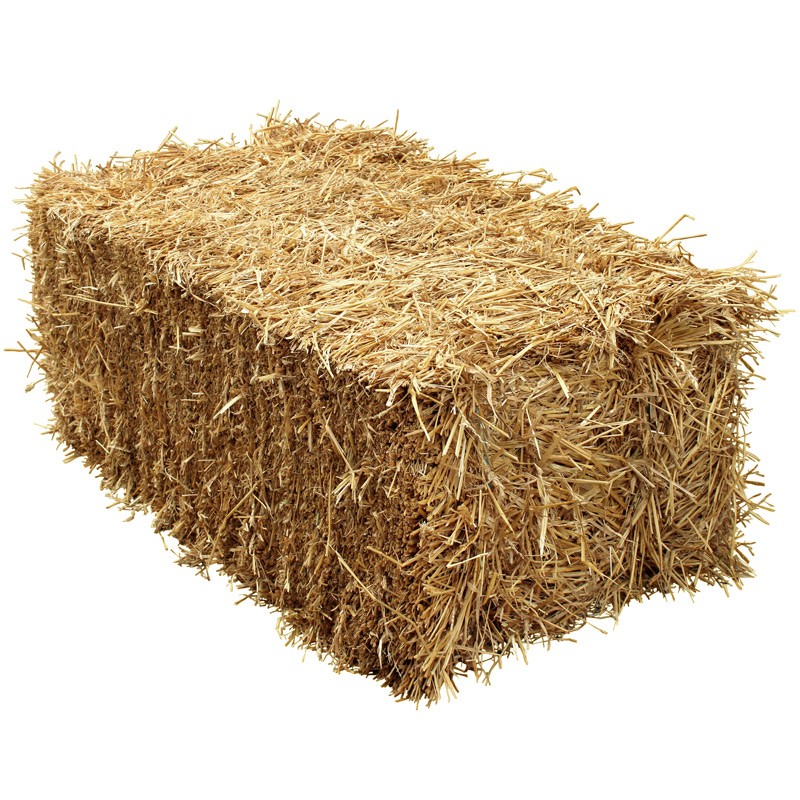 Wheat Straw