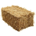 Wheat Straw