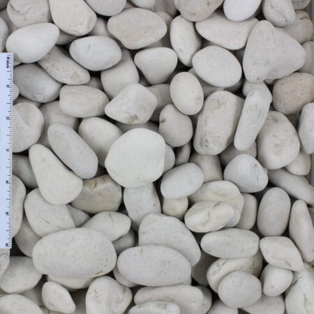 Small Ivory Mexican Beach Pebbles 1"–2"
