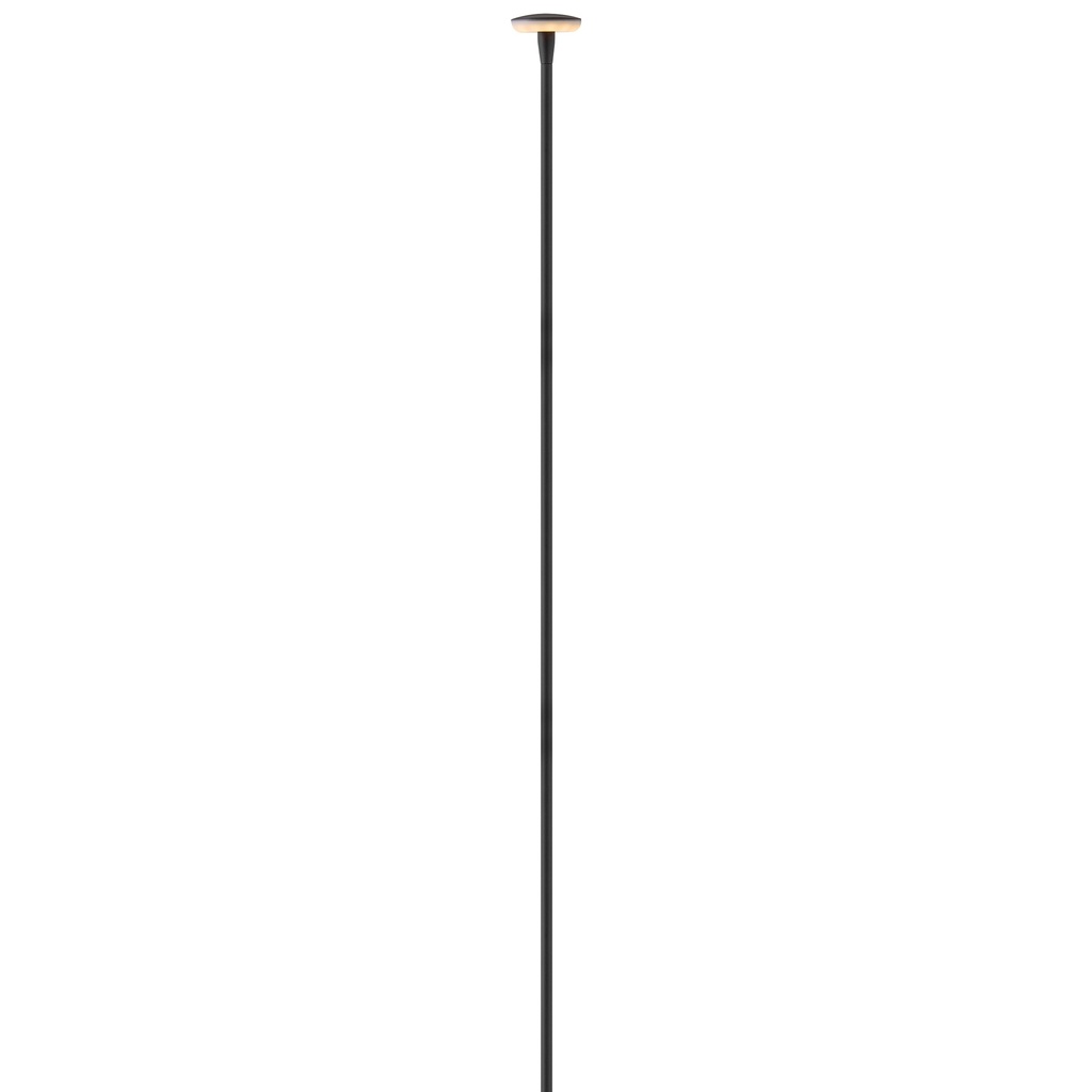 Hinkley Calie 12V Large Stem Path Light (15695BK)