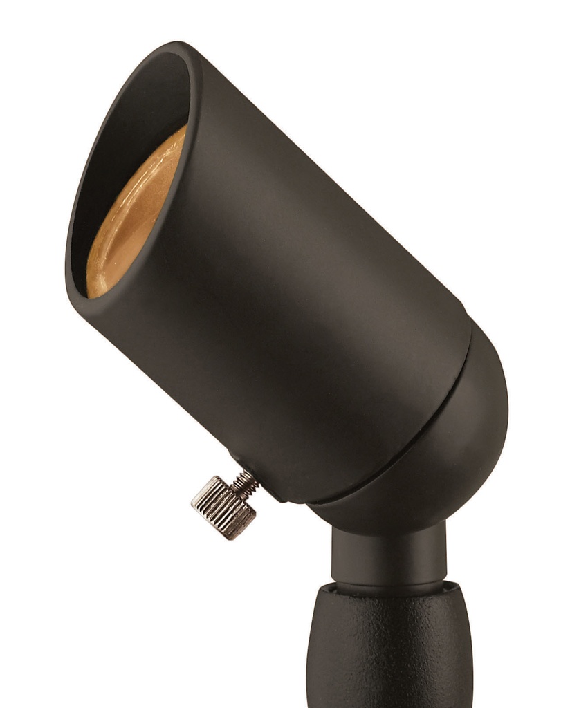 Hinkley Accent Spot Light 12V MR11 (1530BZ)