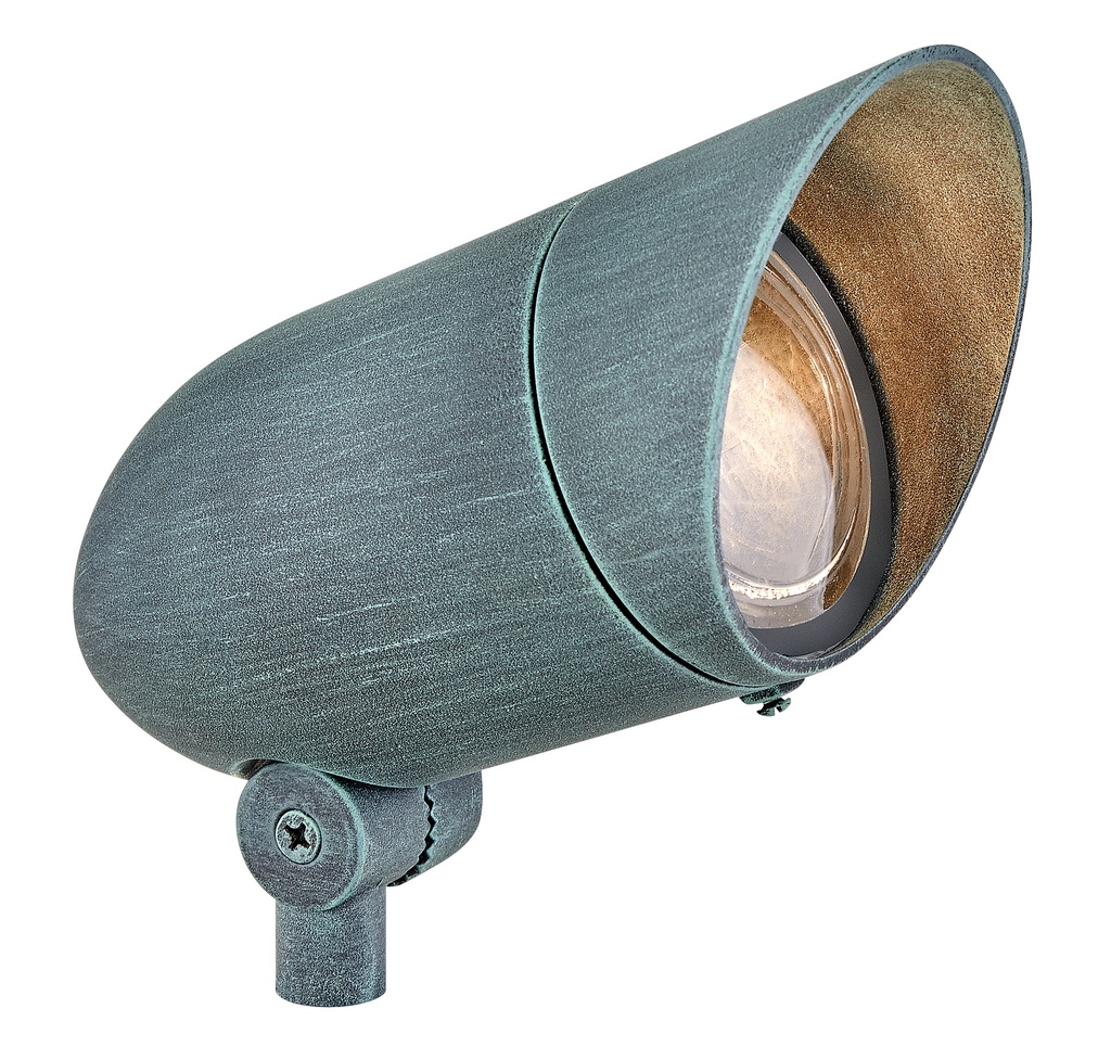 Hinkley Accent Spot Light Small 120v Spot Light (54000VE)