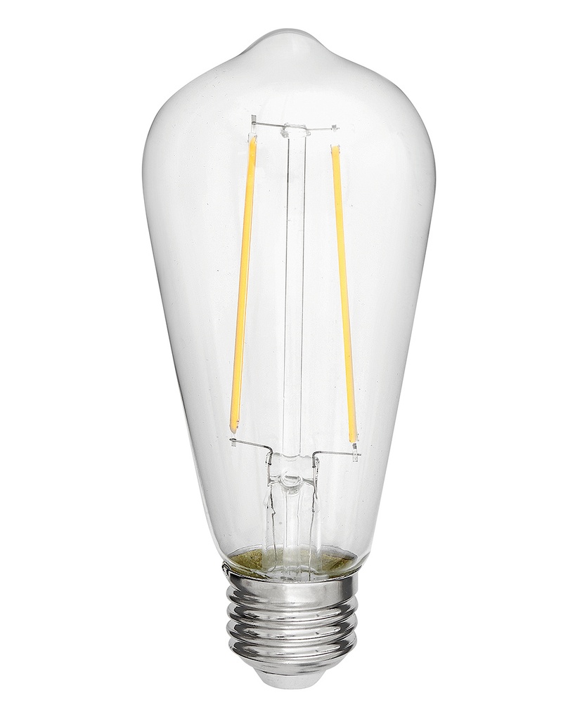 Hinkley LumiGlo Bulb LED Bulb (E26ST192245CL)