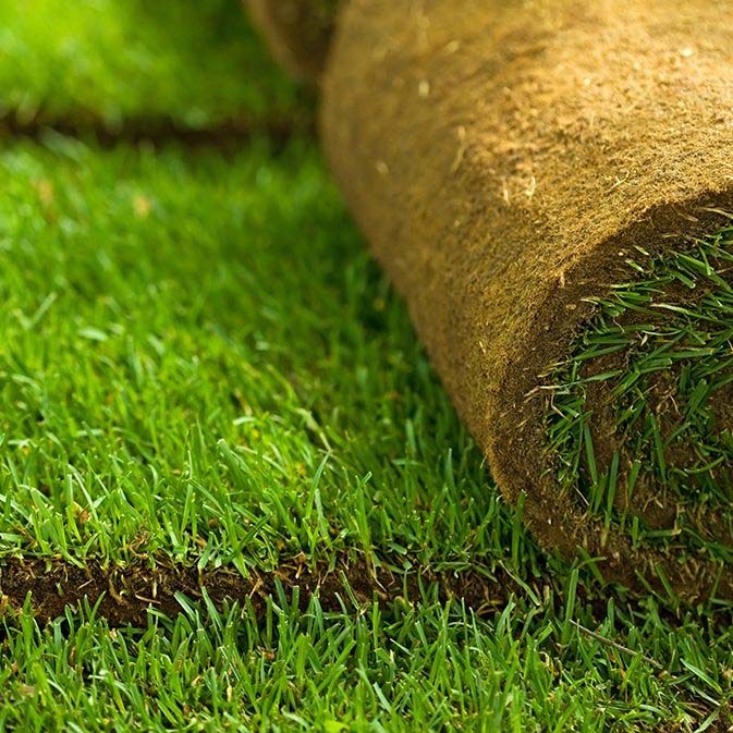 Kentucky Bluegrass Sod 24" x 54" (Square Yard)