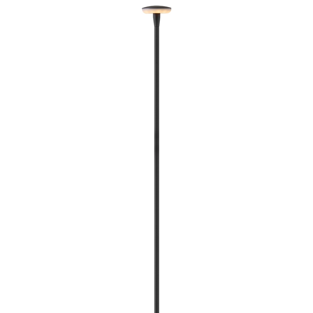 Hinkley Calie 12V Medium Stem Path Light (15693BK)